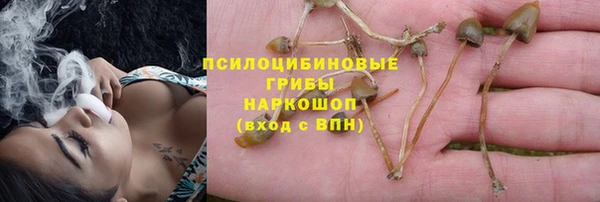 крисы Богородск