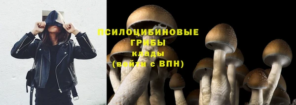 соль курить ск Богородицк
