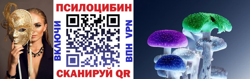 Псилоцибиновые грибы MAGIC MUSHROOMS  купить   Макаров 